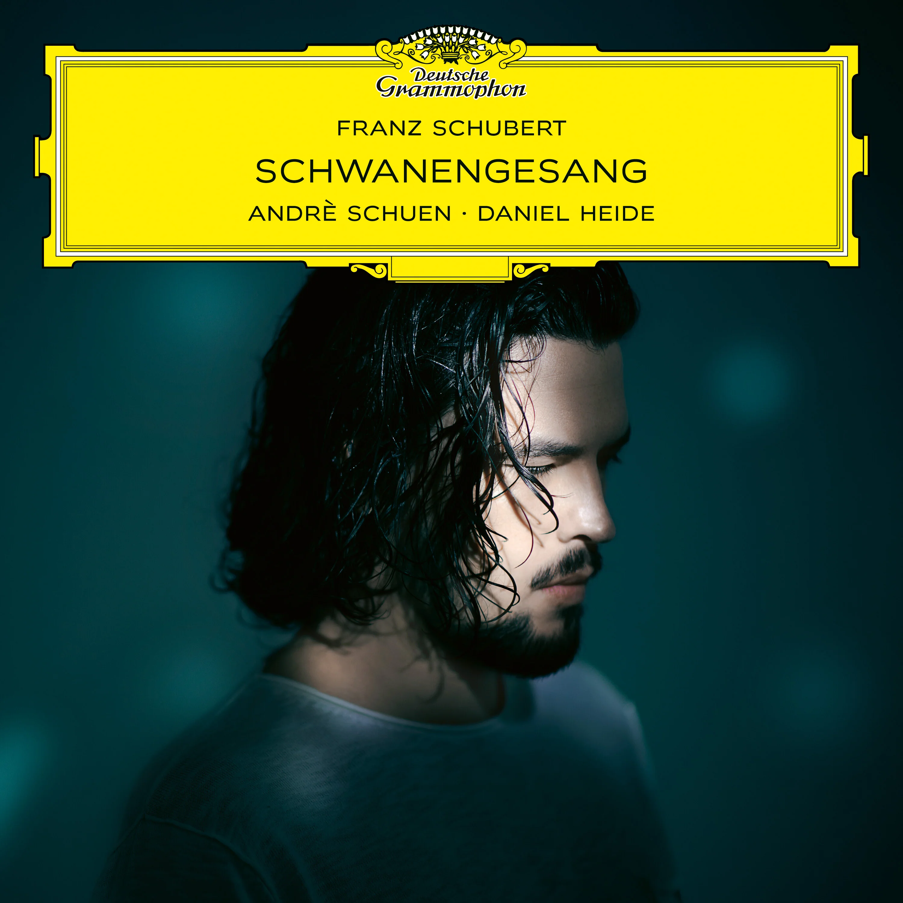 Franz Schubert: Schwanengesang - Image 2