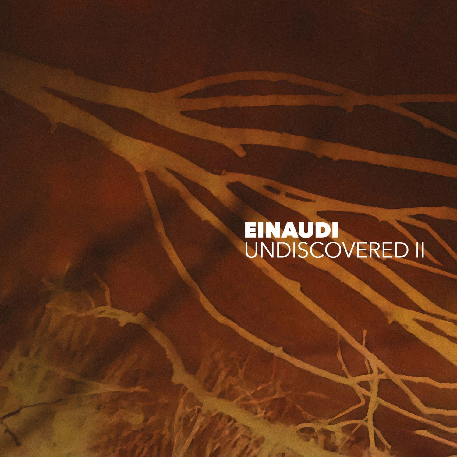 Undiscovered Vol 2 - Image 2